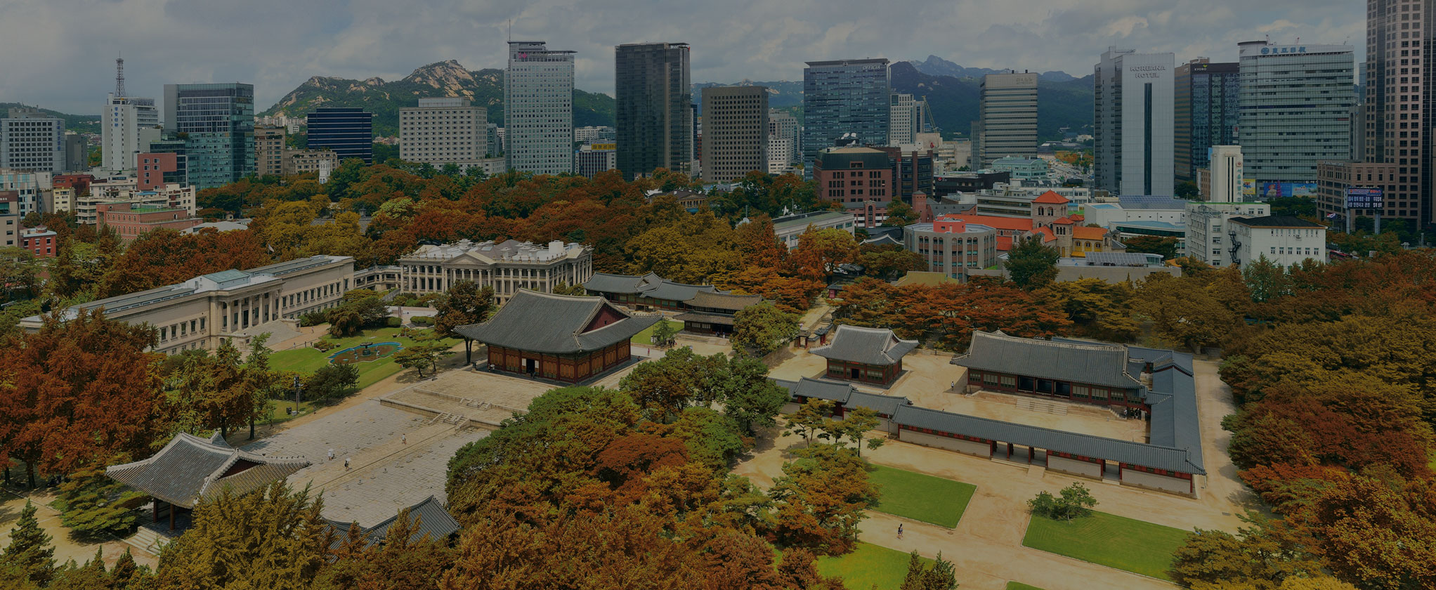 rarebookkyoto o102 朝鮮 楽浪郡時代遺蹟 図版上下 大型 古蹟調査第四